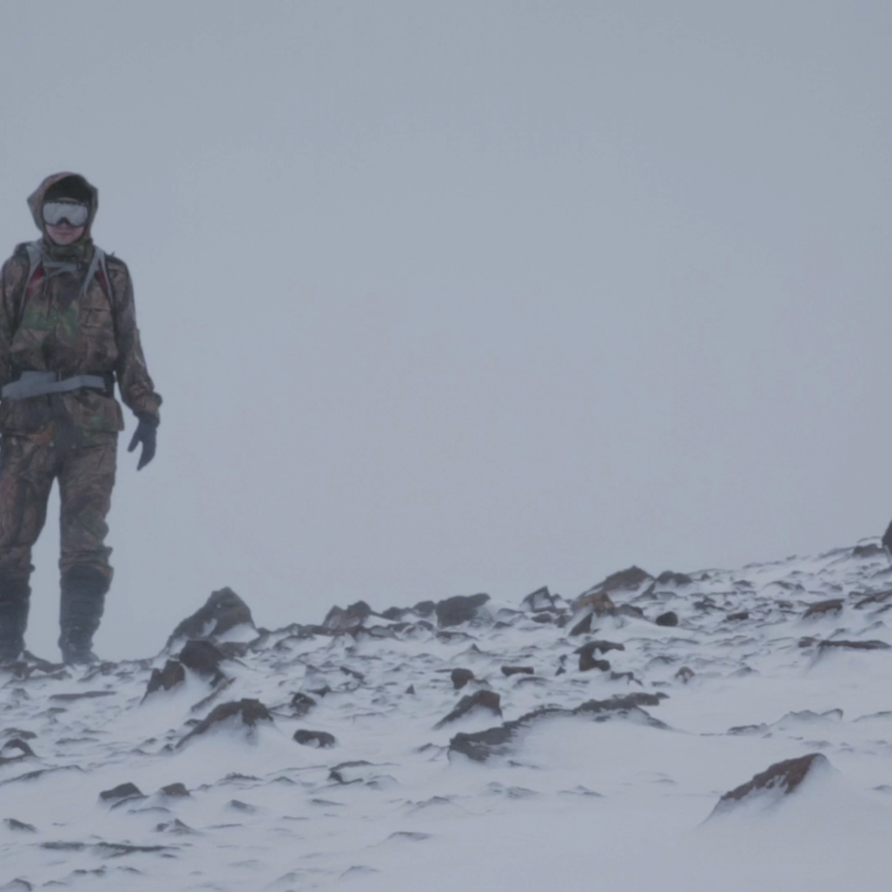 photoFilm_My Deadly Beautiful City