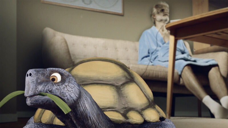 Tortoise in Time Still