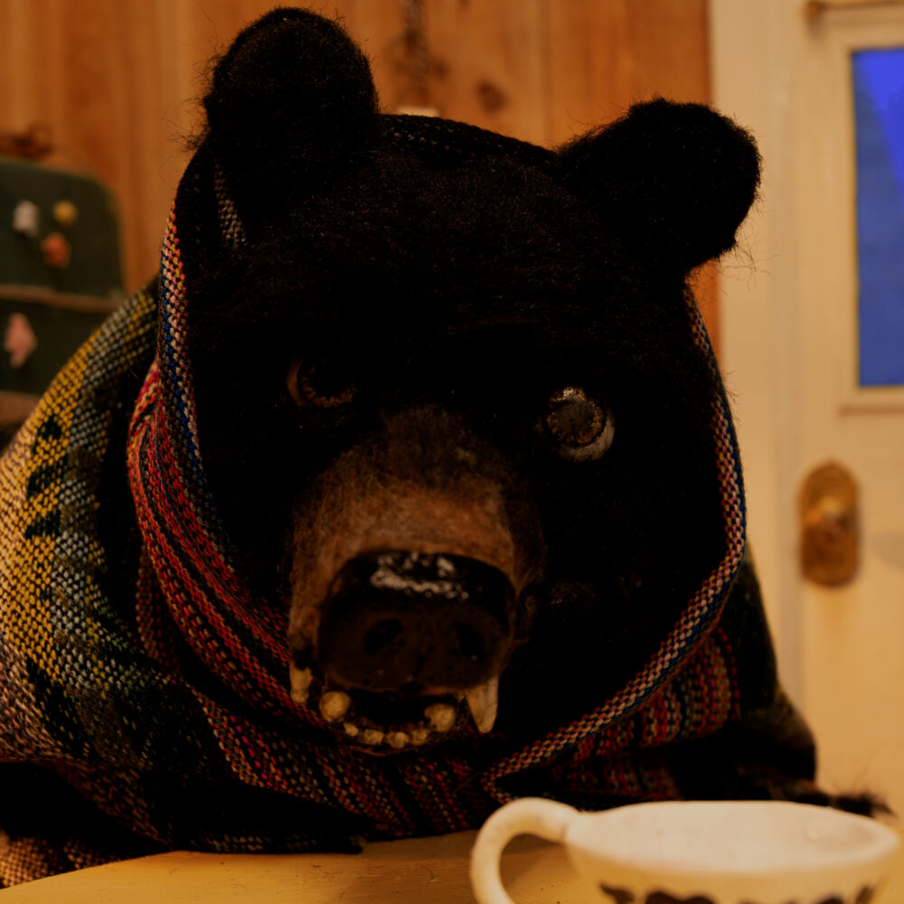 Recovering Bear -- Terril Calder