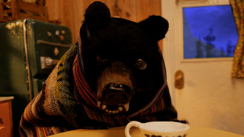 Recovering Bear -- Terril Calder