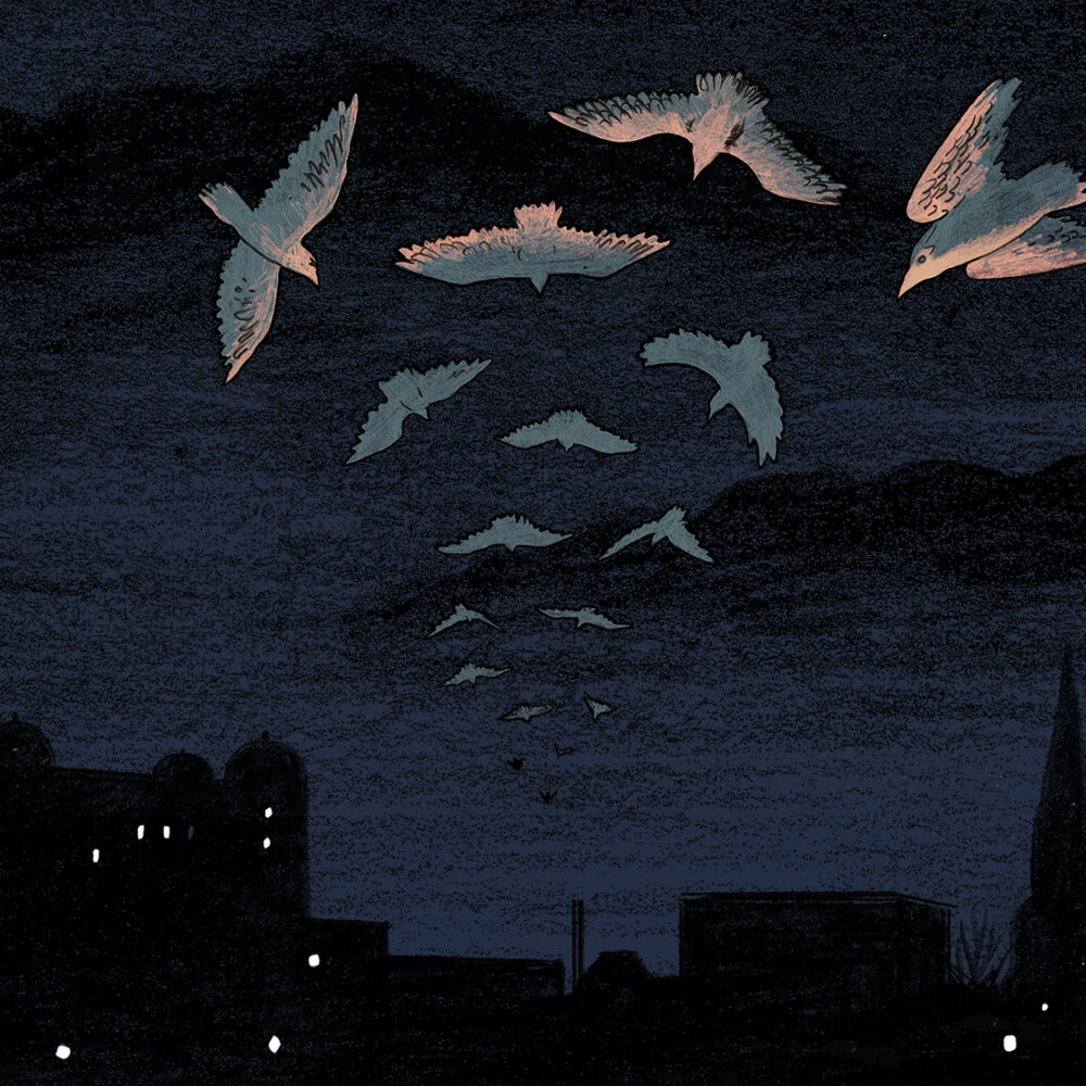 UKF2023_A4_bakgrundmedkajor