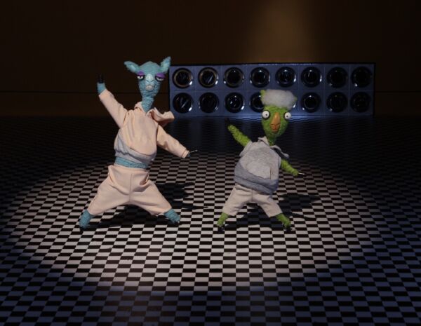 llamas at the laundromat1