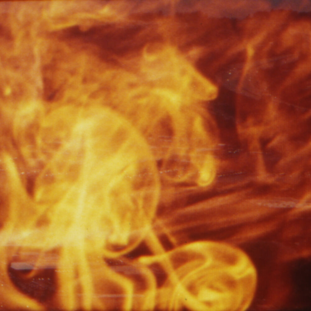 Ruling Star (1) kopiera