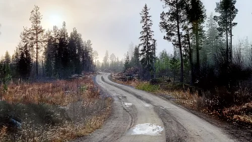 A Logging road in Jaemtland_primaryStill_01