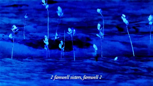 Darias Night Flowers_primaryStill_01