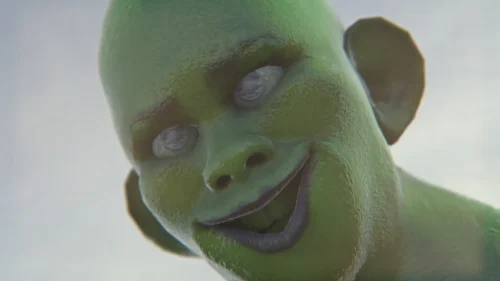 fruit lime face (1)