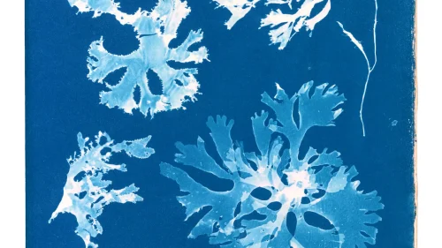 Ghost Protists_primaryStill_01