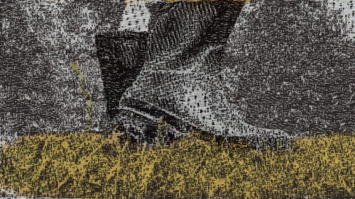 Whose Woods Are These_primaryStill_01