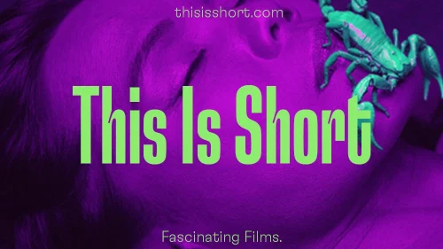 tis-launch-1000x1000px