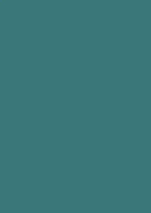 #3a7879 aqua