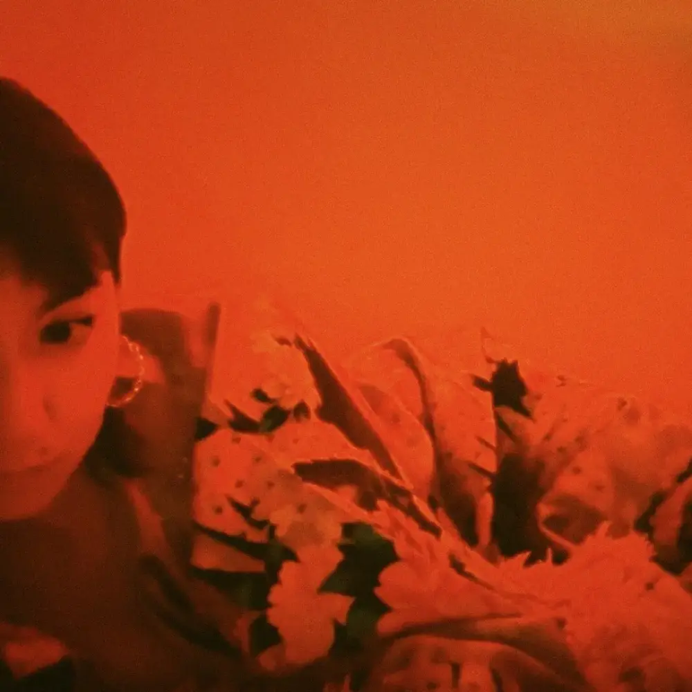 IC4-HowToCatchAButterfly1