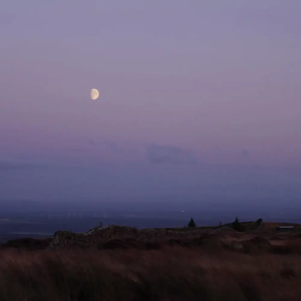 img-6813bd41364a8