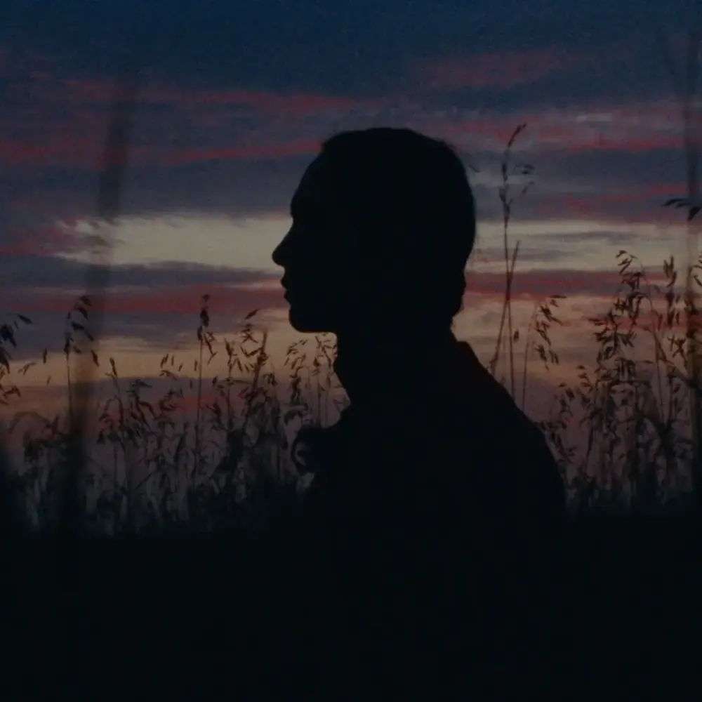 WT-Klee