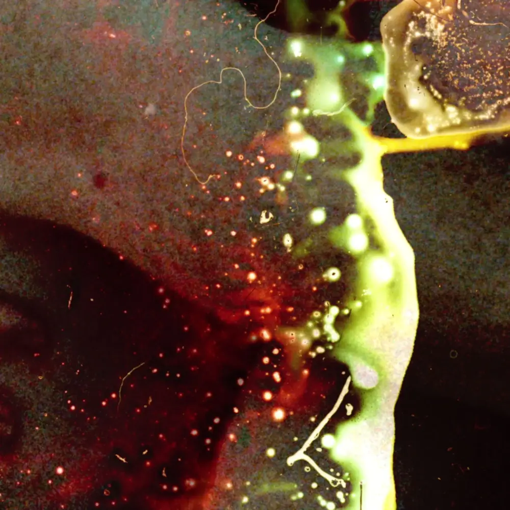 MARKED Still 1compressed