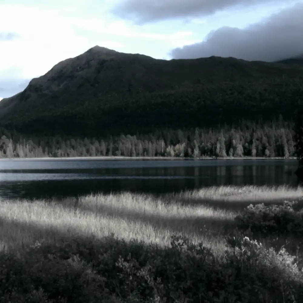 QUEERING SAPMI