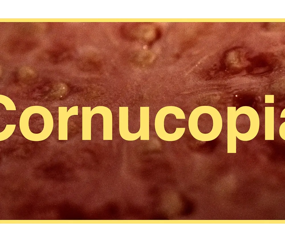 UKFF_Pitch_Cornucopia
